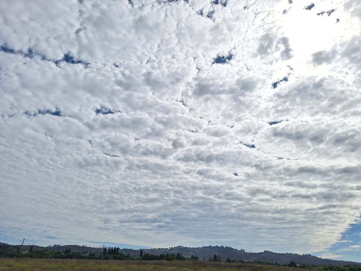 CLee71's tweet image. 