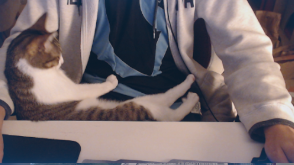 La cat cam en stream c'était tout ce dont j'avais besoin 🥹🥰