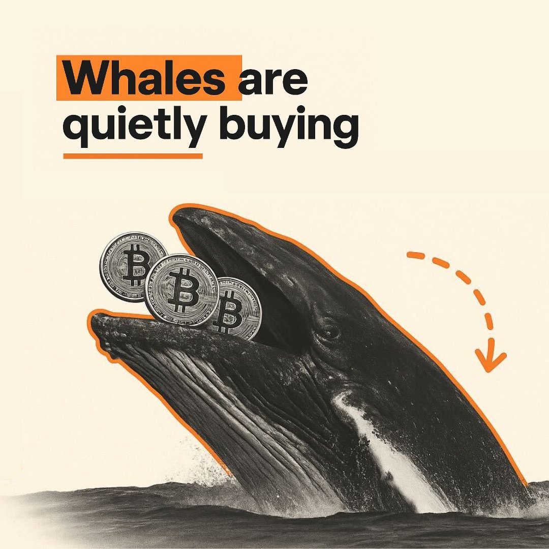 easyBitcoin tweet media