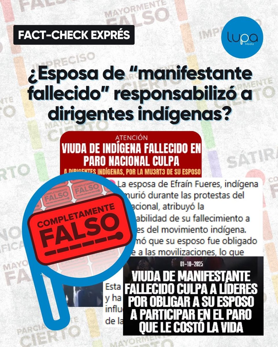 Lupa Media tweet media