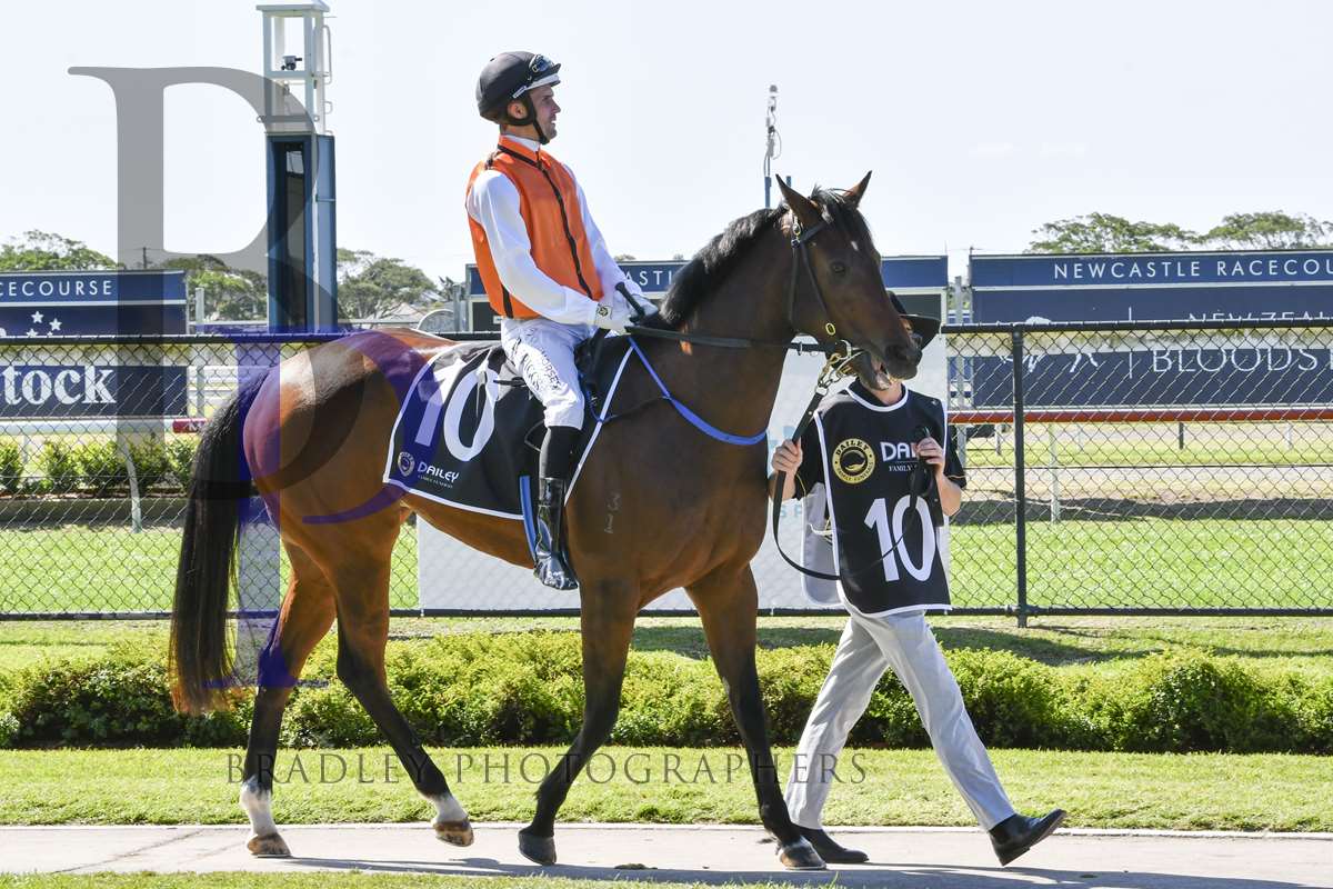 Minervini Racing (@minerviniracing) on Twitter photo OCEAN JOY (4m ex Arabic) resumes <a href="/thebrookracing/">Muswellbrook Race Club</a> on Monday. <a href="/LeeMagorrian/">lee magorrian</a> rides the daughter of <a href="/VineryStud/">Vinery</a> HEADWATER in the <a href="/tabcomau/">TAB</a> BM66 over 900m. <a href="/vinerysales/">Vinery Sales</a> <a href="/BaramulStud/">Baramul Stud</a> <a href="/mmsnippets/">Magic Millions</a> <a href="/Bradley_Photos/">Bradley Photos</a> OCEAN JOY (4m ex Arabic) resumes <a href="/thebrookracing/">Muswellbrook Race Club</a> on Monday. <a href="/LeeMagorrian/">lee magorrian</a> rides the daughter of <a href="/VineryStud/">Vinery</a> HEADWATER in the <a href="/tabcomau/">TAB</a> BM66 over 900m. <a href="/vinerysales/">Vinery Sales</a> <a href="/BaramulStud/">Baramul Stud</a> <a href="/mmsnippets/">Magic Millions</a> <a href="/Bradley_Photos/">Bradley Photos</a>