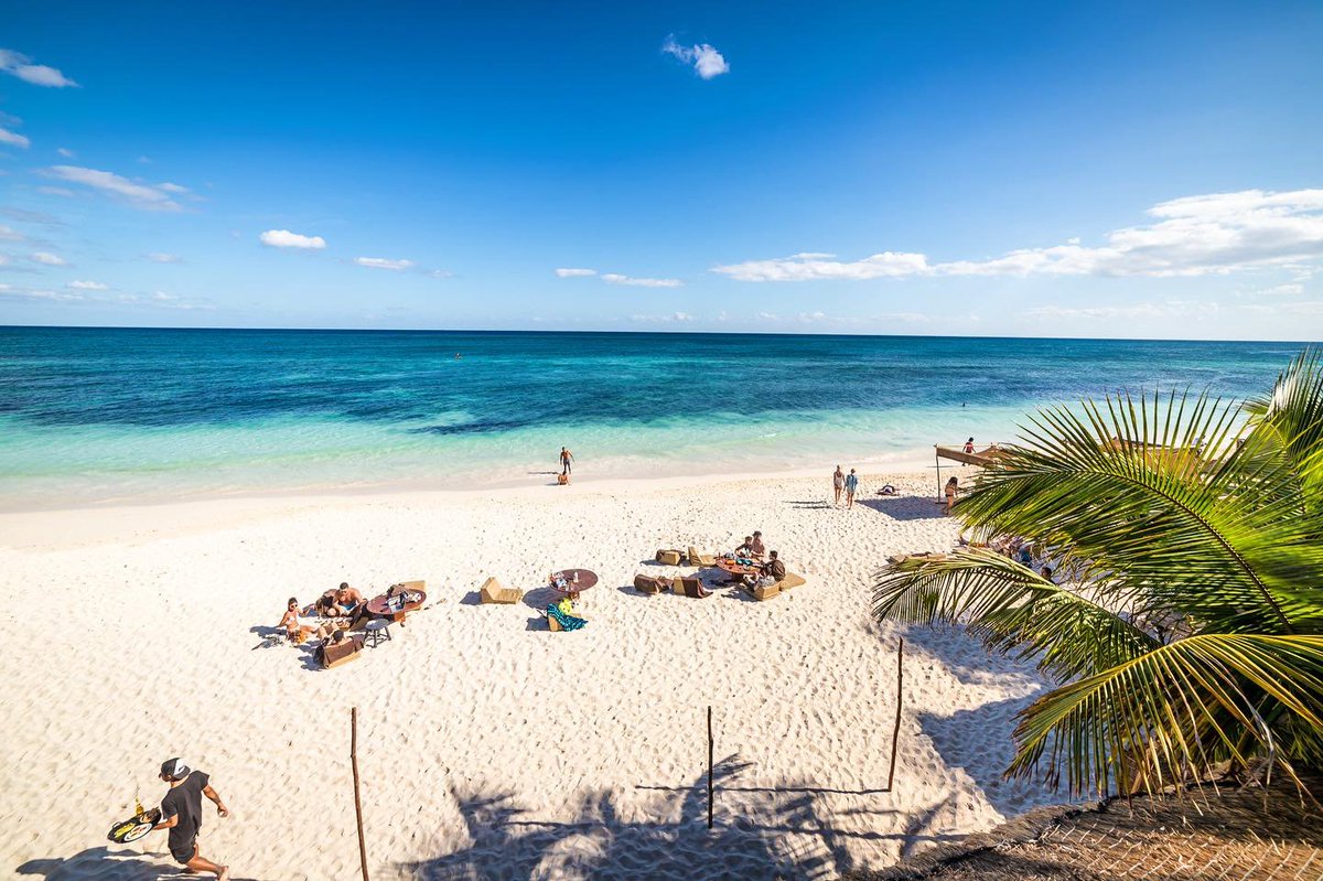 PlayaRiviera's tweet photo. Este es el Papaya Playa, uno de los hoteles de Tulum que no cobrará cover ni consumo mínimo a turistas y locales para reactivar la economía. https://t.co/xkIfy1XDte