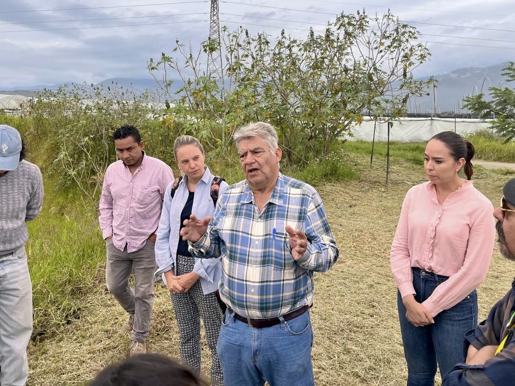 CDAAJalisco's tweet photo. #AgendaCAJ๐ง | El #CDAAJ participรณ en el Taller de Rehabilitaciรณn de la Cuenca de la Laguna de Zapotlรกn, con apoyo de la Embajada del Reino de los Paรญses Bajos ๐ฒ๐ฝ๐ค๐ณ๐ฑ.
Representados por nuestro Vicepresidente Gerardo Garcรญa Barragรกn y nuestro Director Carlos Luna. ๐ฑ https://t.co/uUo3HrVa9m