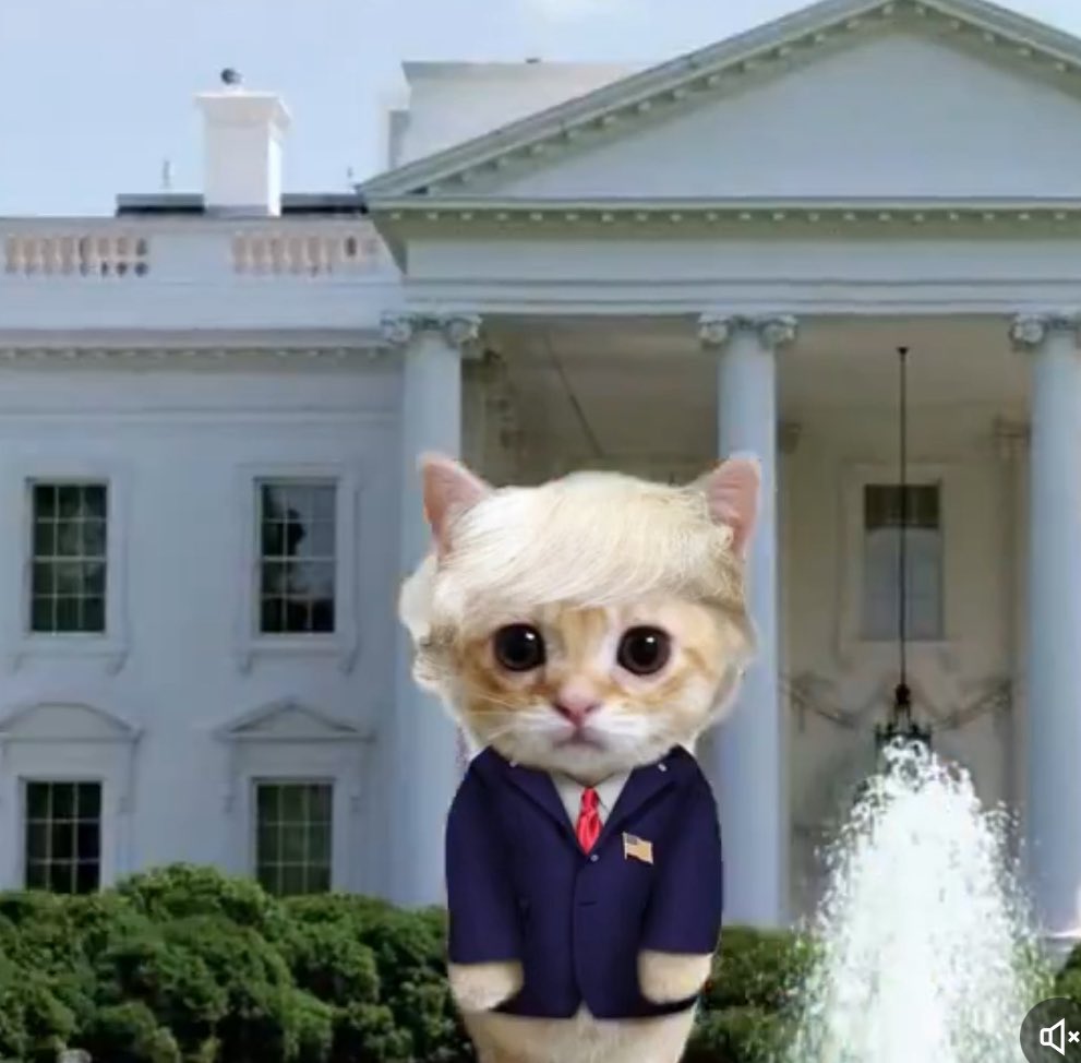 Fridge Intern tweet media