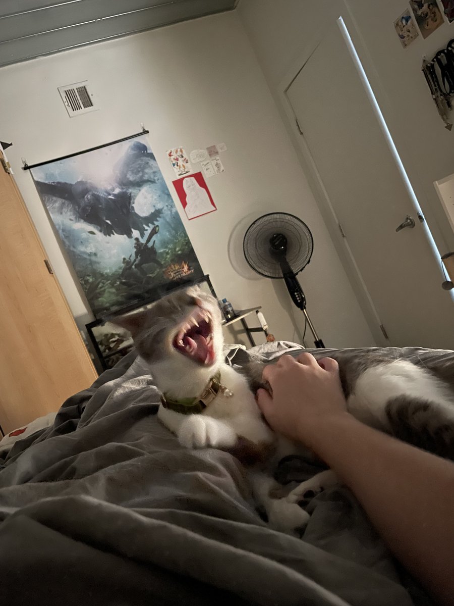 pitiful animal screams for help