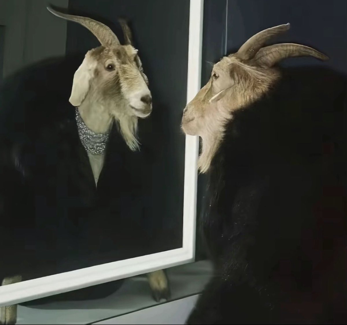 harold kunch (@hkunchmaga) on Twitter photo 