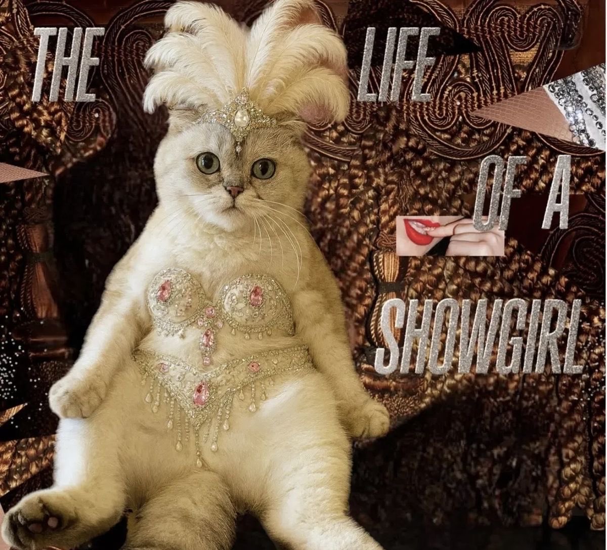 SwiftlyEstelle's tweet image. THE LIFE OF A SHOWGIRL SORS AUJOURD’HUI DANS 6H TOUT VA BIEN