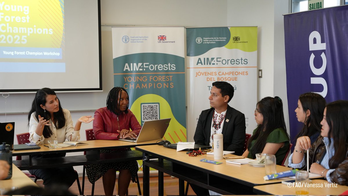 FAOPERU's tweet photo. #Hilo
🌏 @FAO  junto a #AIM4Forests con el apoyo de la @PUCP, aceleramos el monitoreo innovador de los bosques . Durante 3 días, la Iniciativa de Jóvenes Campeones del Bosque empoderó a líderes juveniles para la conservación y la acción climática. 🌿💡 https://t.co/B3ZF8fpiNt
