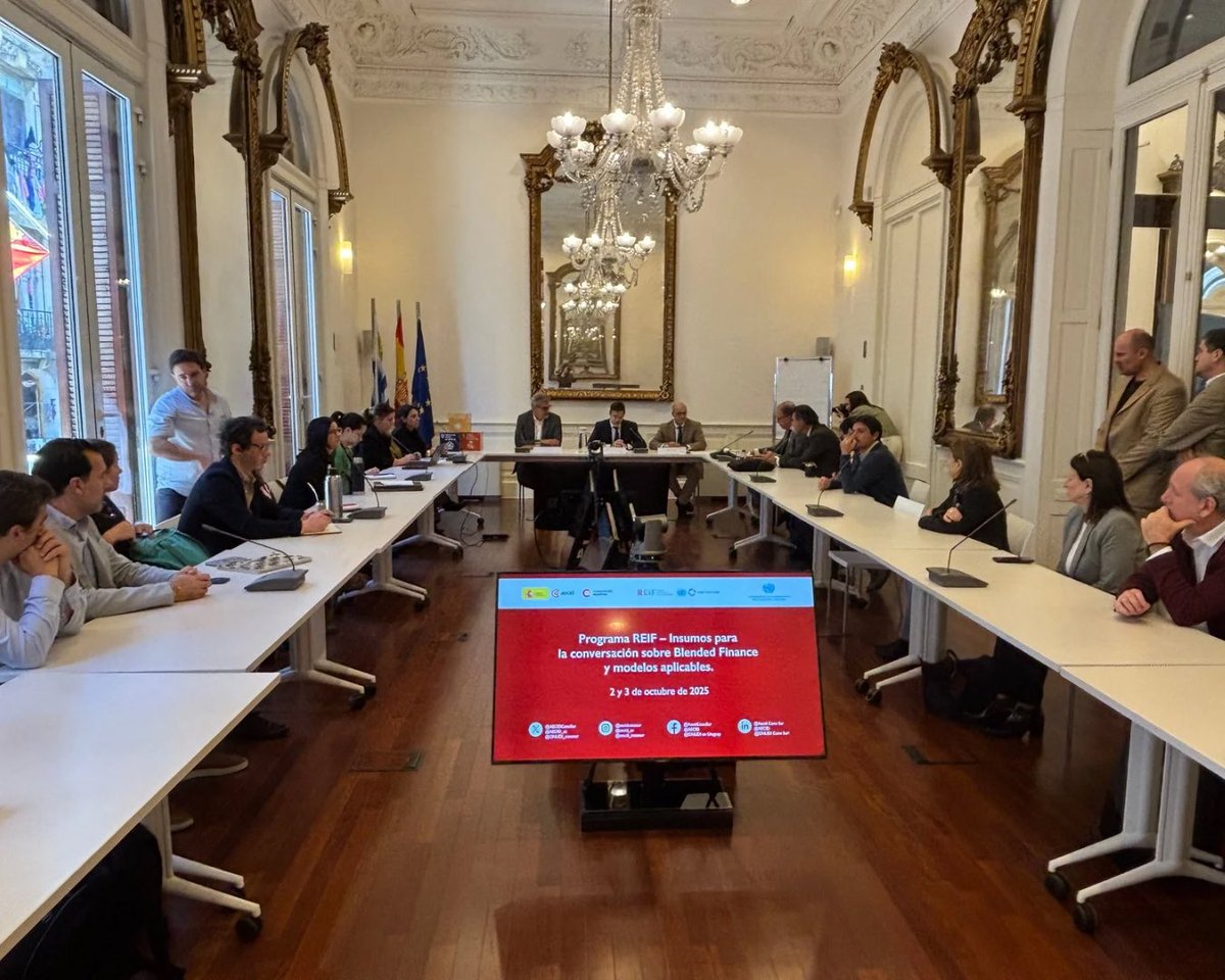⚡️➡️ REIF proyecta su segunda fase junto a actores clave del sector público y privado

⬇️