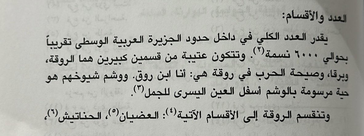 ip511i's tweet image. صيحة الحرب في الروقة هي:
“أنا ابن روق”