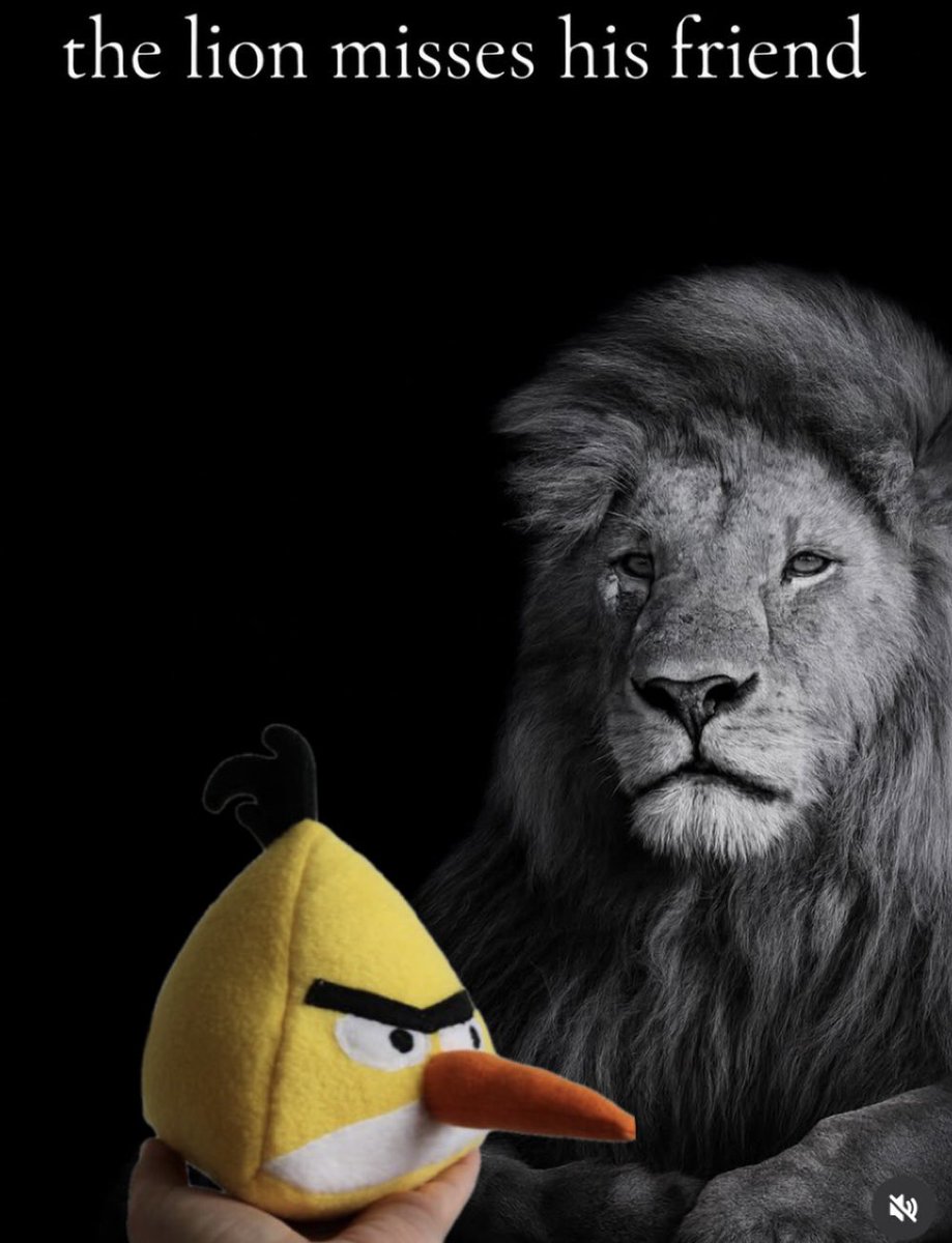 small tone (@smalltoneeffect) on Twitter photo 