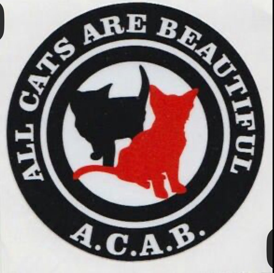 justin Anarchsun tweet media