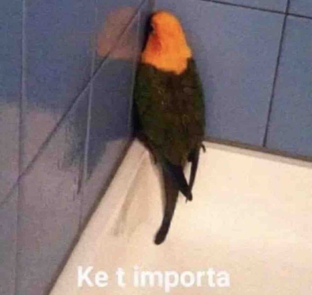 Cada vez que me preguntan si ya aprendí a manejar.