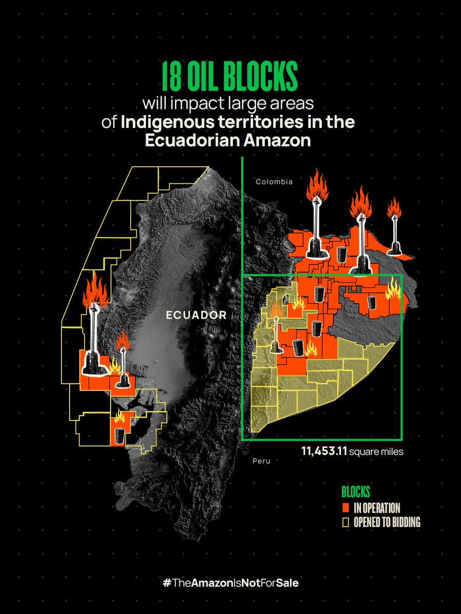 AFrontlines's tweet image. #Ecuador is selling off the Amazon through nearly 50 oil projects. If we don’t act now, the extraction will affect-
🌍 An area 37.5 times the size of New York.
🇧🇪 The equivalent area of a country like Belgium will be devastated.
📍 View the interactive map theamazonisnotforsale.org