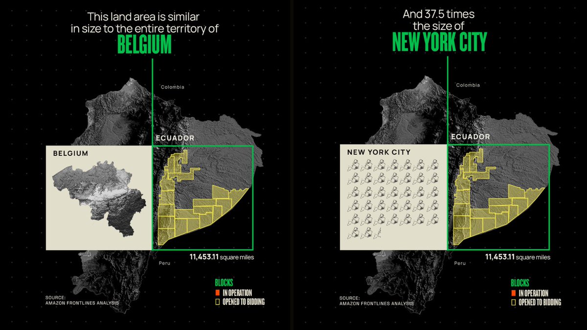 AFrontlines's tweet image. #Ecuador is selling off the Amazon through nearly 50 oil projects. If we don’t act now, the extraction will affect-
🌍 An area 37.5 times the size of New York.
🇧🇪 The equivalent area of a country like Belgium will be devastated.
📍 View the interactive map theamazonisnotforsale.org