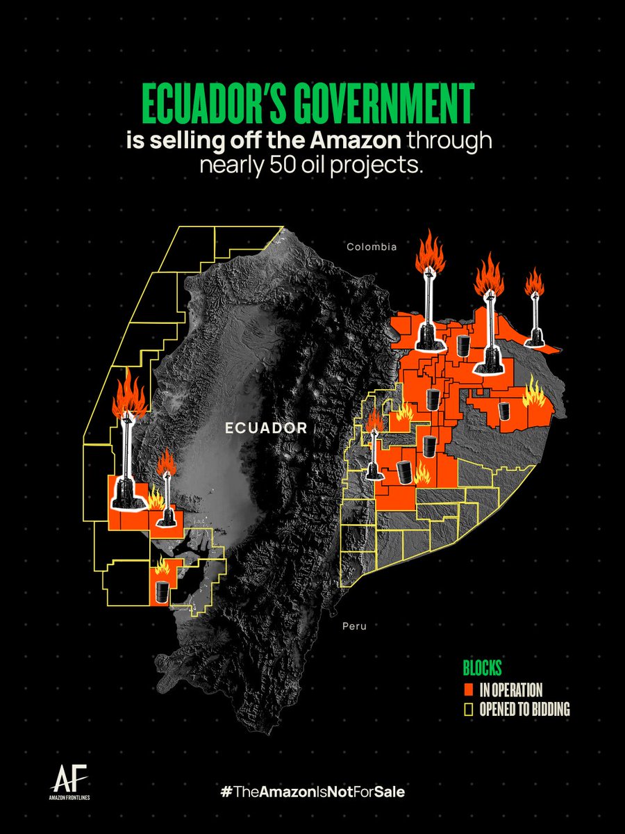 AFrontlines's tweet image. #Ecuador is selling off the Amazon through nearly 50 oil projects. If we don’t act now, the extraction will affect-
🌍 An area 37.5 times the size of New York.
🇧🇪 The equivalent area of a country like Belgium will be devastated.
📍 View the interactive map theamazonisnotforsale.org