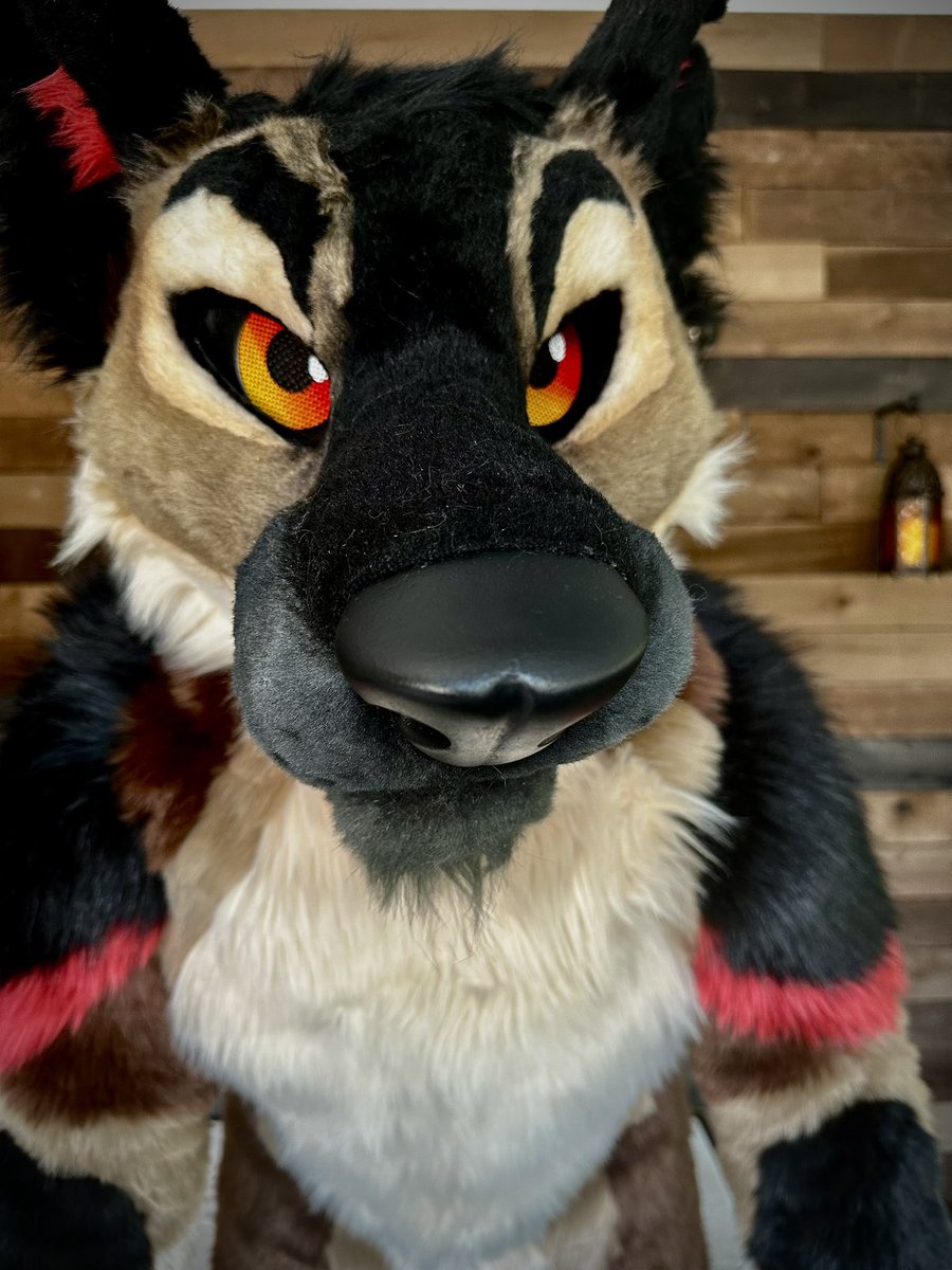 It’s October… keep an eye out for werewolves lurking… 🌕🐺
🪡: <a href="/MadeFurYou/">Made Fur You</a>