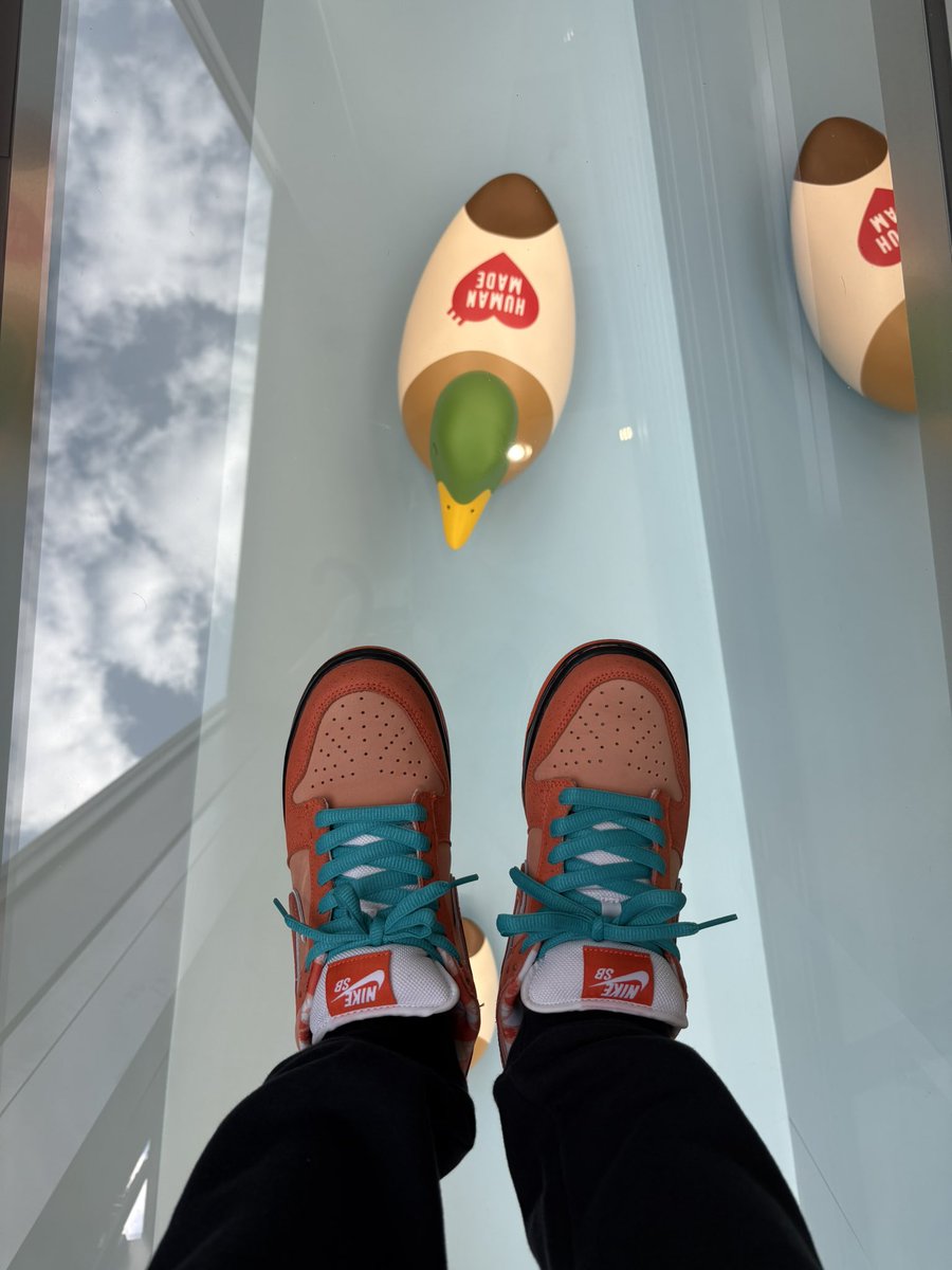 PomugonSNKRS's tweet image. 🍊🦞
#kotd
#dunksfordays
#yoursneakersaredope