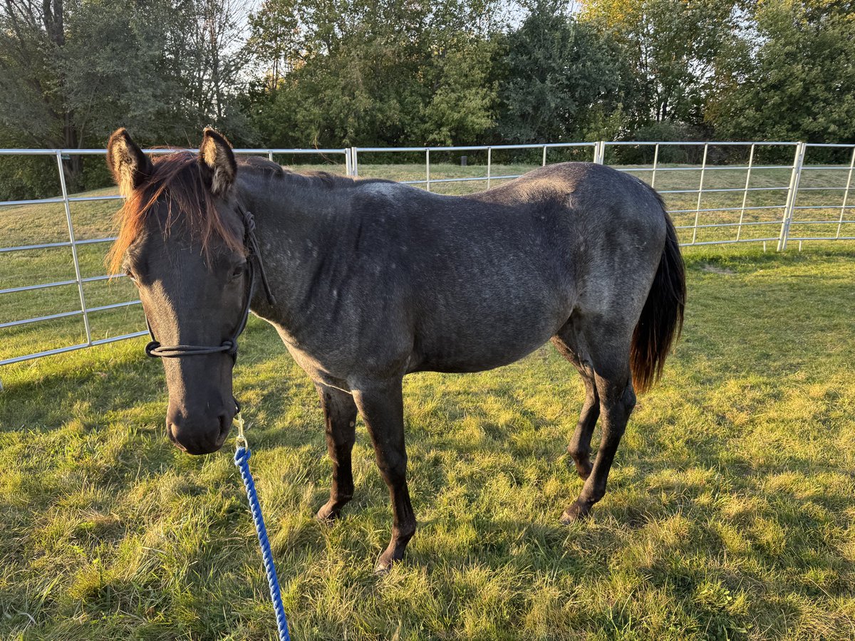 Mandy Froehlich tweet media