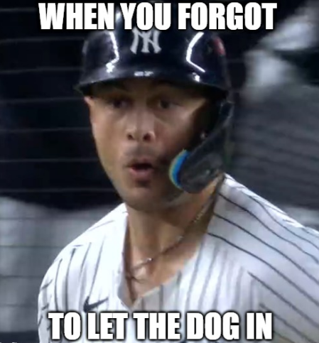 This meme is a winner 🤣 #Stantonshock Mike Stanton