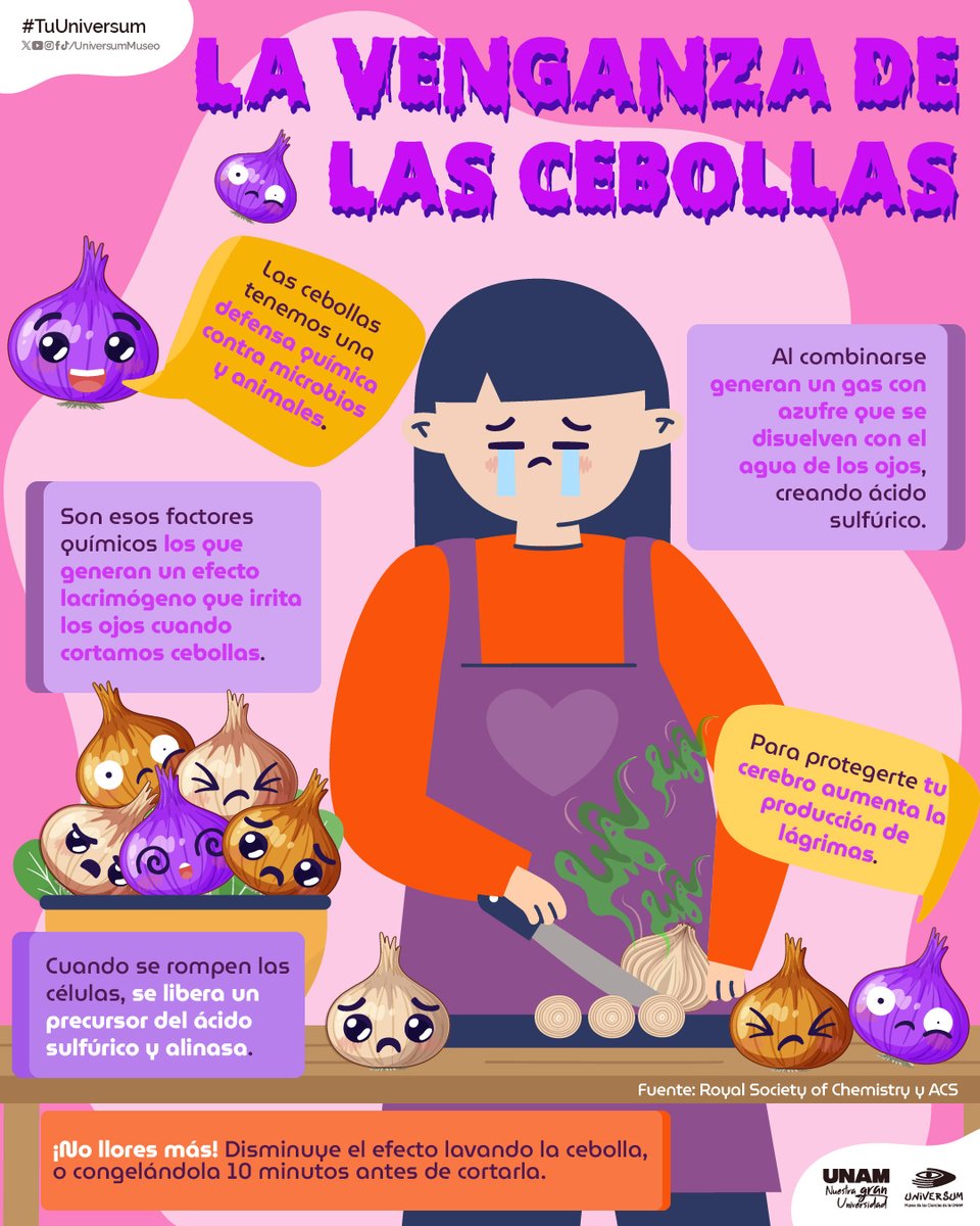 ¿Lloras al cortar cebollas? 😭
Te contamos por qué pasa esto. 👇

#TuUniversum