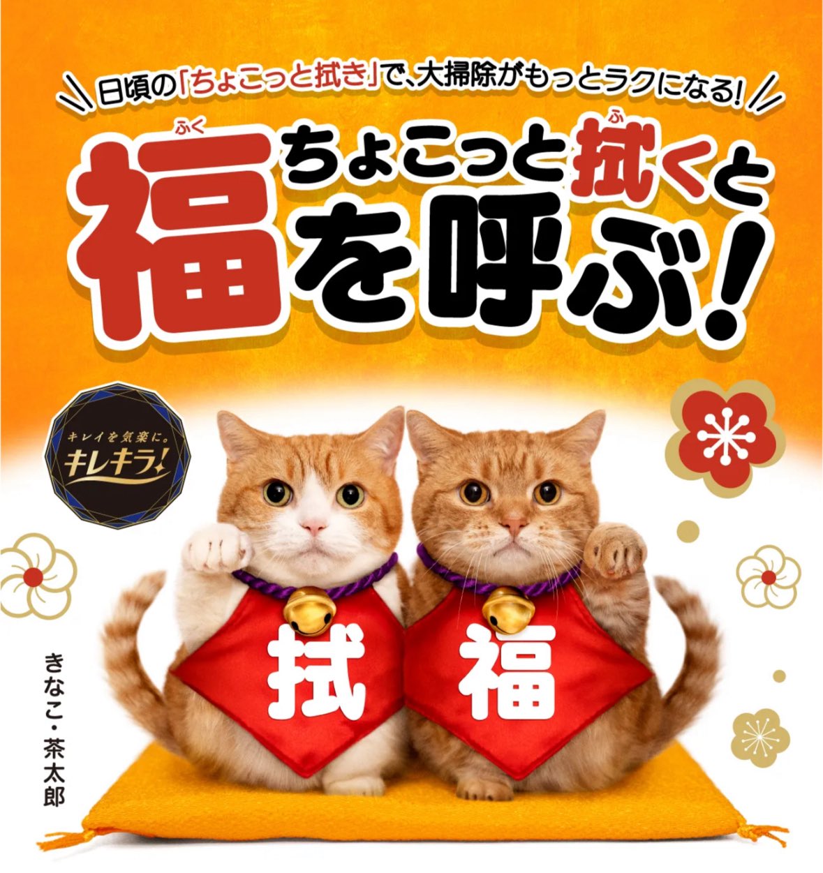 （4月VIP 10%off中) あ～にゃん214315です❣0418 kaz(かぁチン) ⭐️ (@gg_legend) / X