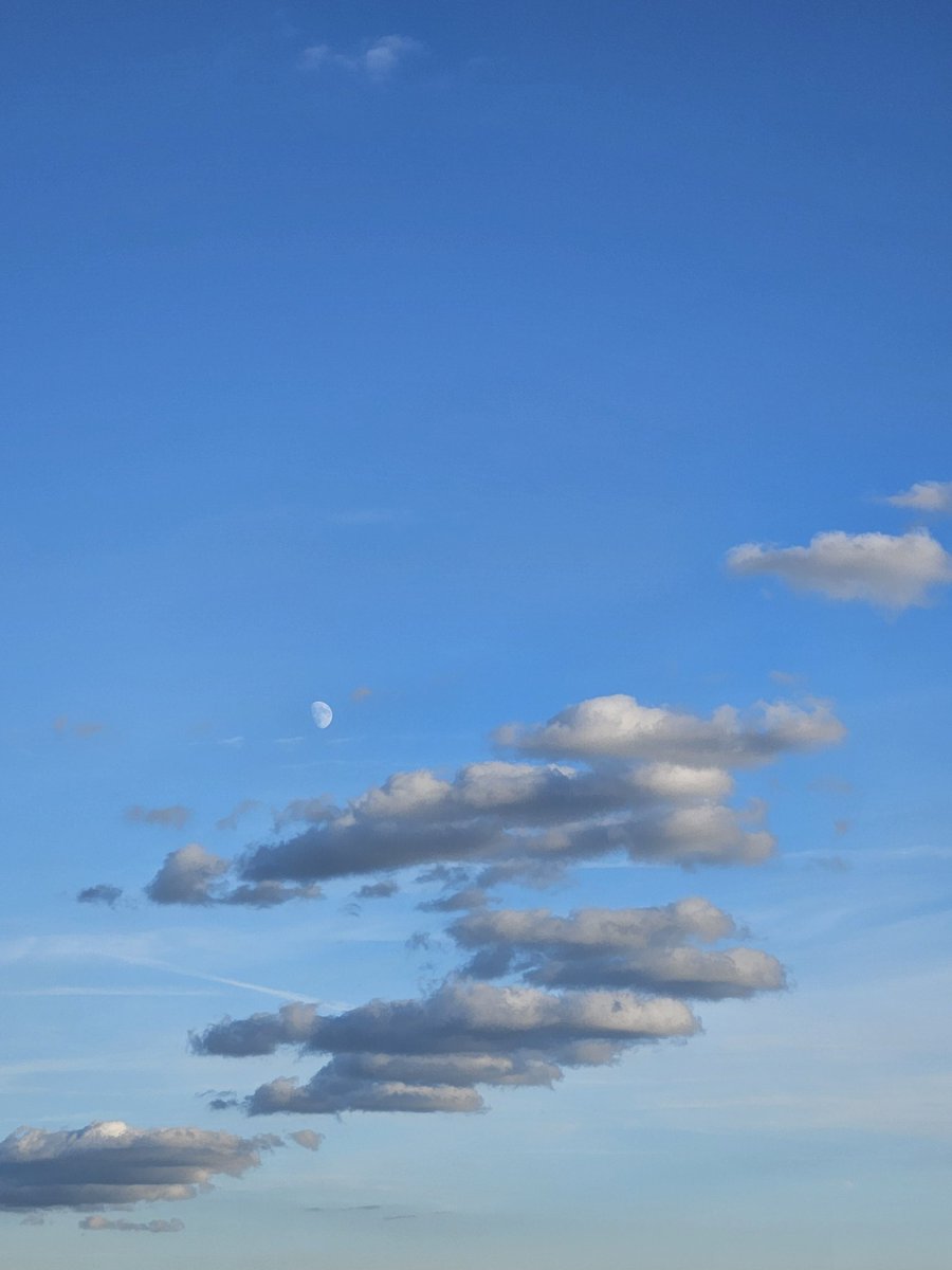 🇯🇵 cheese 瞑想 tweet media