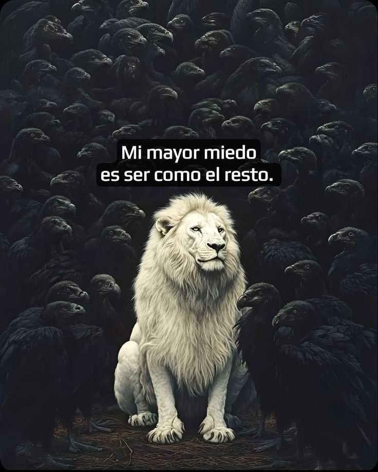 Virtud Mental. (@virtudmental) on Twitter photo 