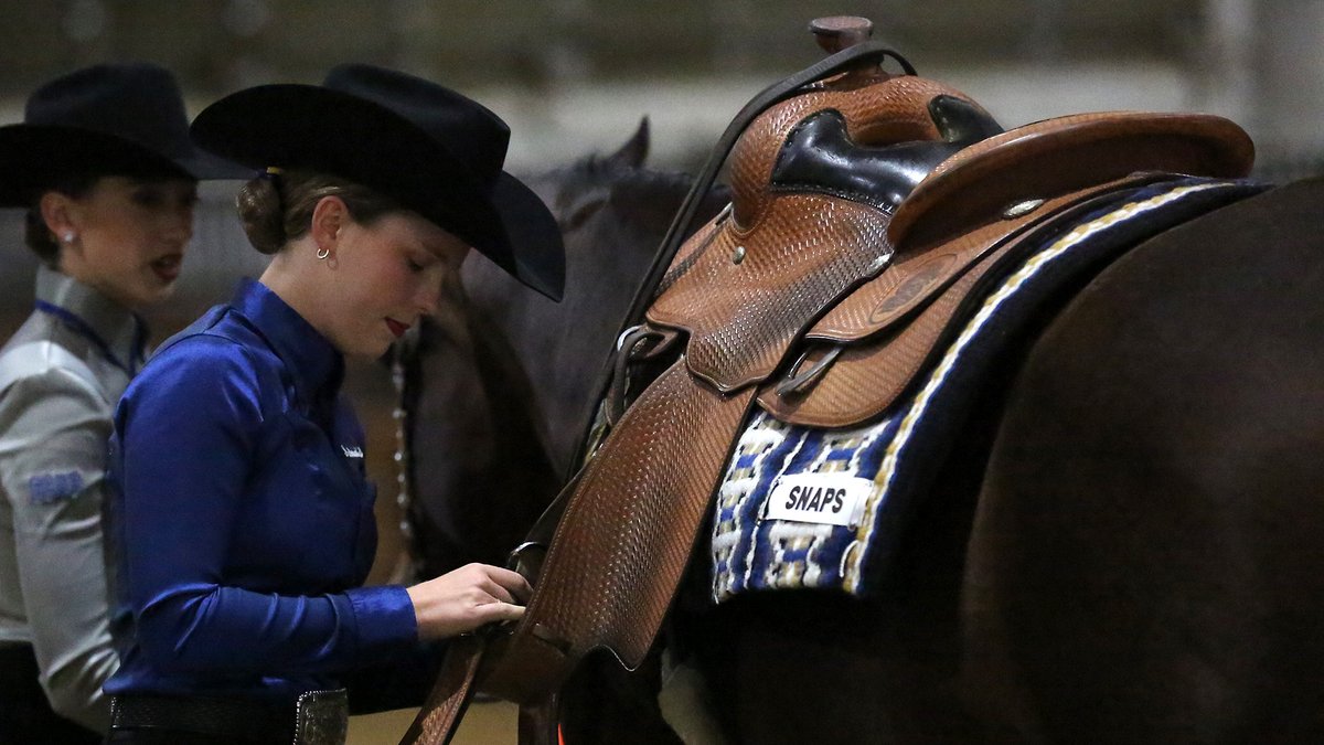 PREVIEW | Equestrian season begins with home competitions

📰 » gojacks.co/42JFp9B

#GoJacks 🐰