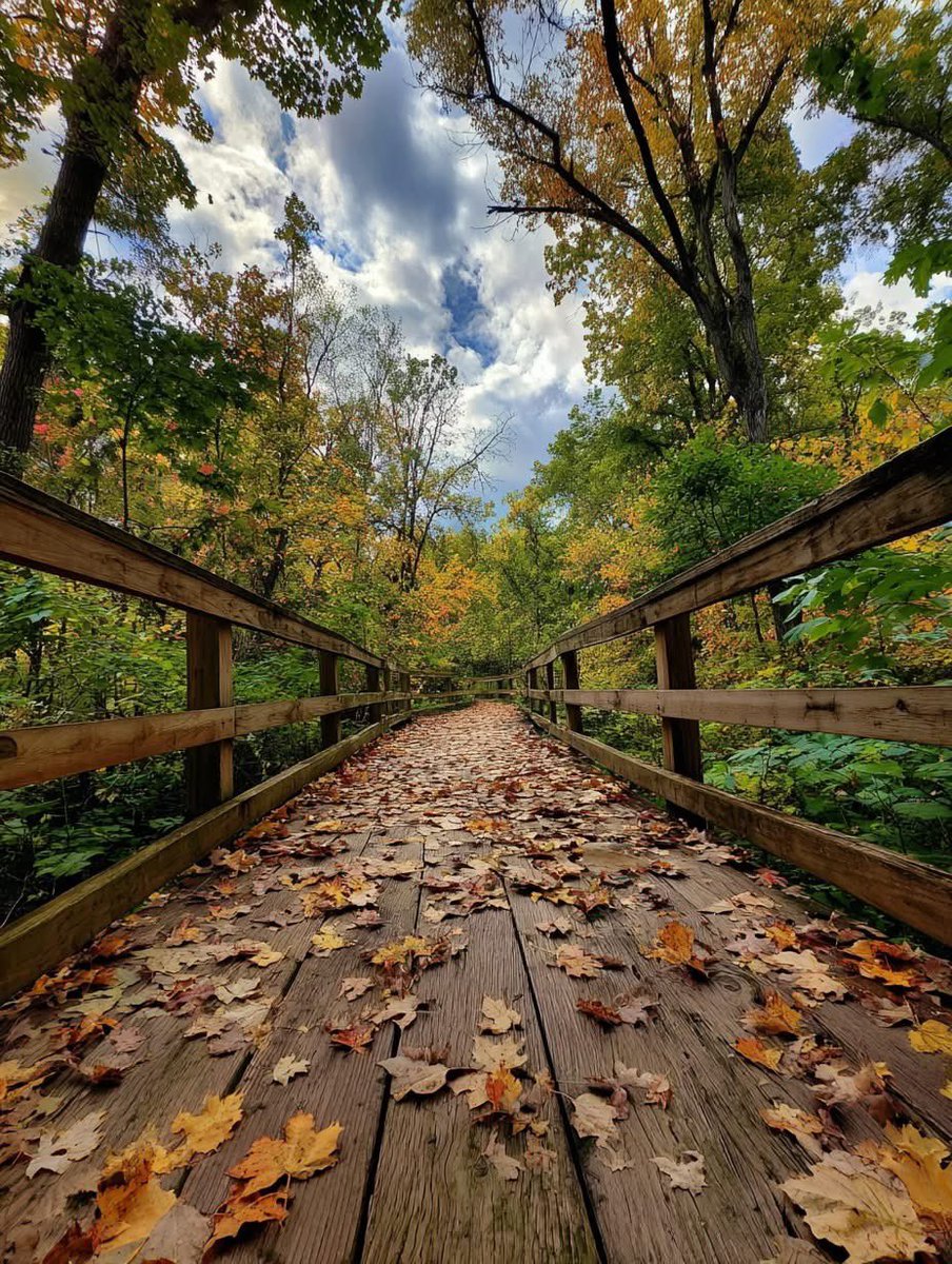 lifesucksoff's tweet photo. A wooden path covered in fallen leaves leads into the heart of autumnโs embrace. ๐๐ฒโจ
My Most Fav. Seasonโค๏ธ
#ForestWalk #AutumnPath #FallenLeaves #NatureBeauty https://t.co/fLr2r9gwWC