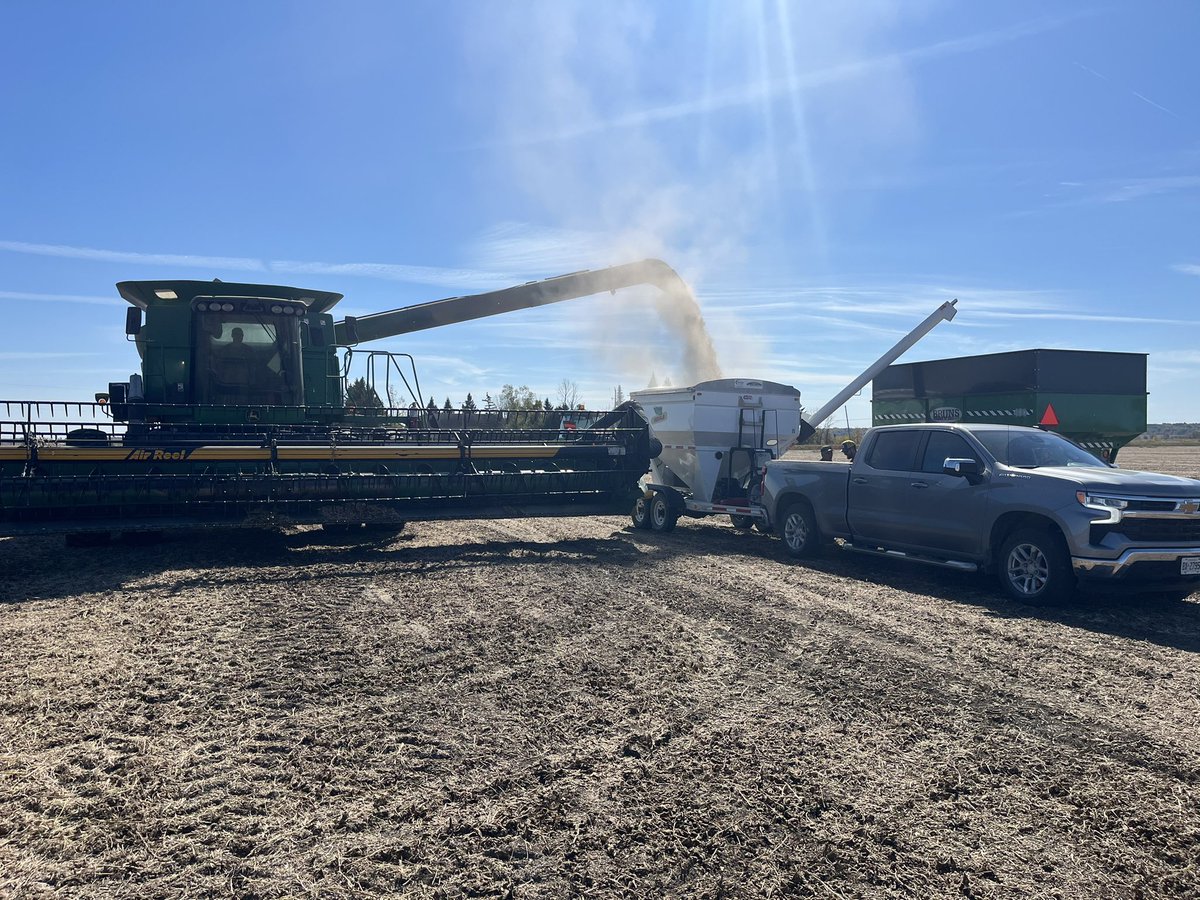 It’s that time of the year again!😁
Soybean test plot harvest today!🚜
DKB08-80 is the winner in that heavy clay ground.😄
<a href="/SynAgri_SEC/">SynAgri</a> <a href="/DEKALB_Canada/">DEKALB Canada</a> <a href="/Bayer4CropsCA/">Crop Science Canada</a> <a href="/DesjourdyA/">Alexandra Desjourdy</a>