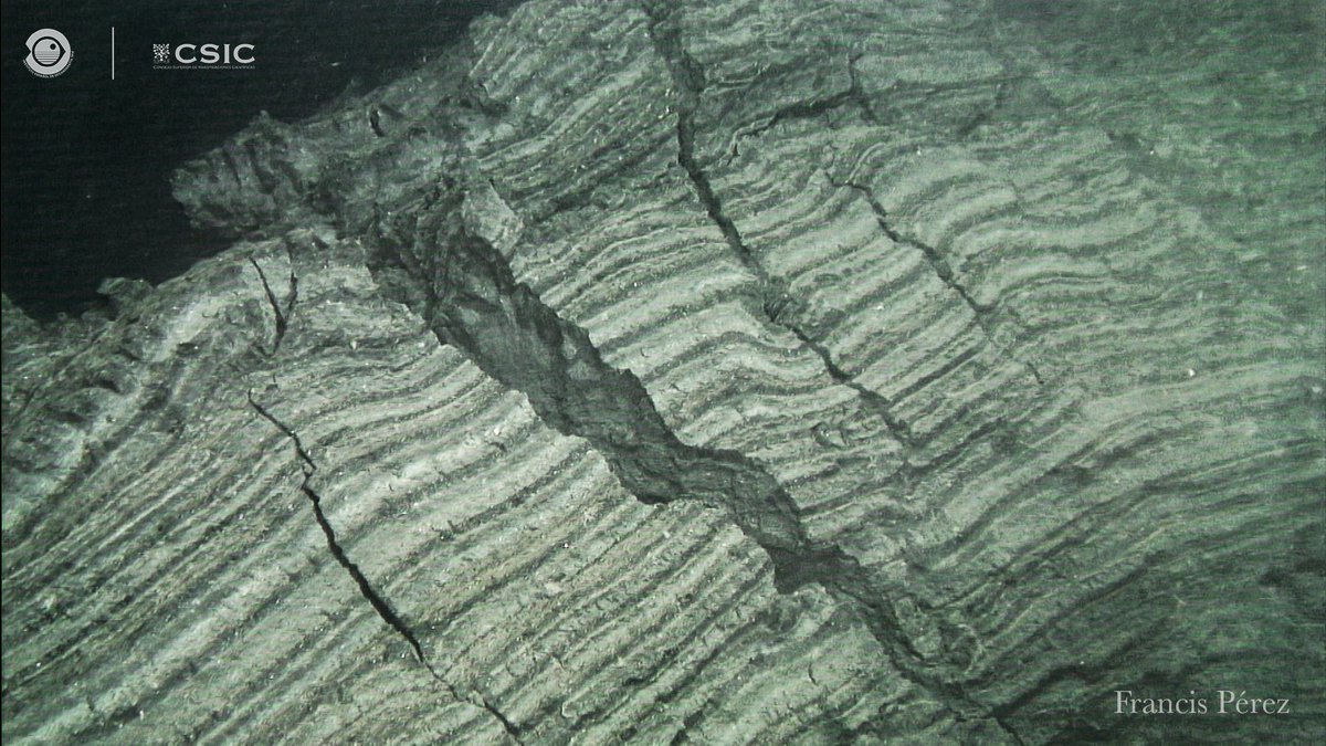 GeoTenerife Marine SciCamp tweet media