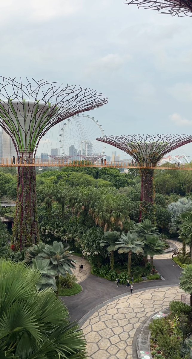 9f9Nine's tweet image. Singapore hits different 🇸🇬 

Absolutely pleasant about Token2049 being hosted in such a beautiful place.