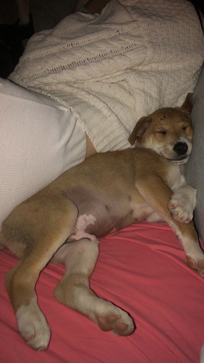 D A H I 🧸 tweet media