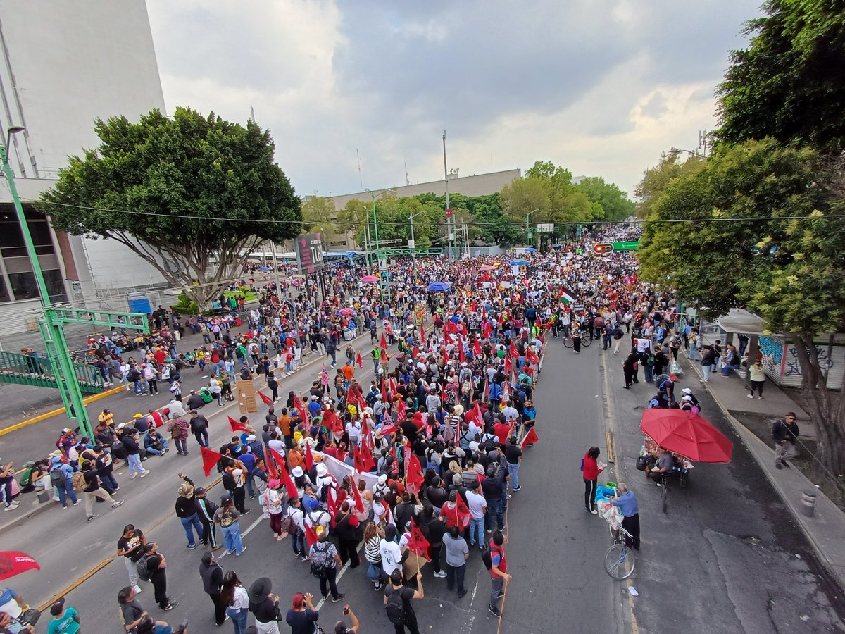 Lu Peláez ⚧️ tweet media