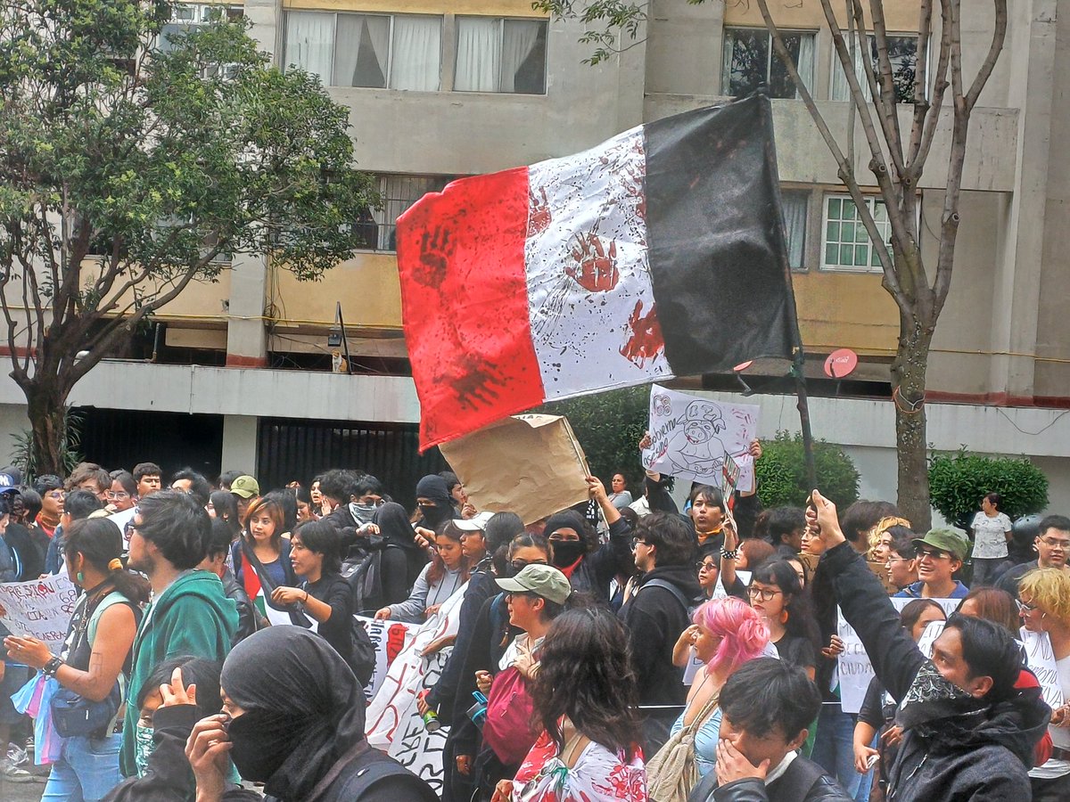 Lu Peláez ⚧️ tweet media