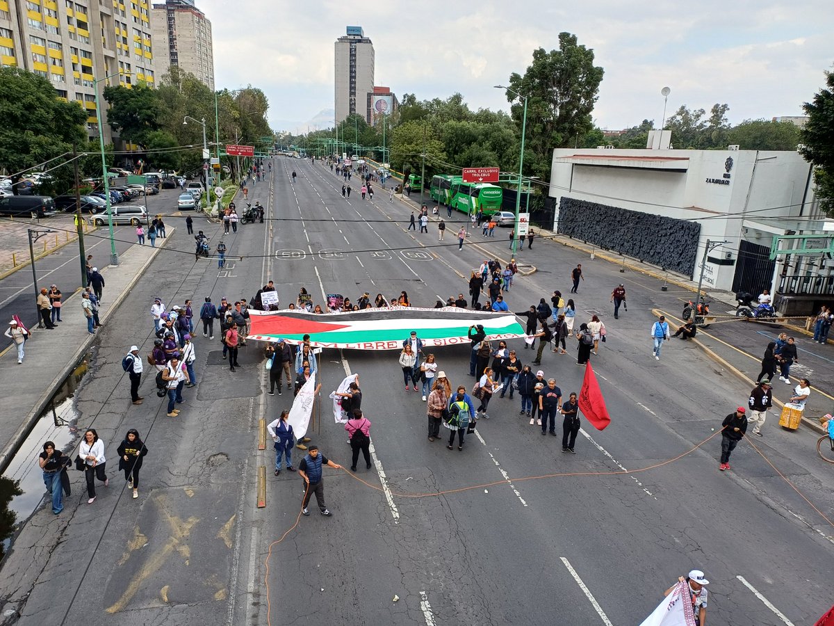 Lu Peláez ⚧️ tweet media