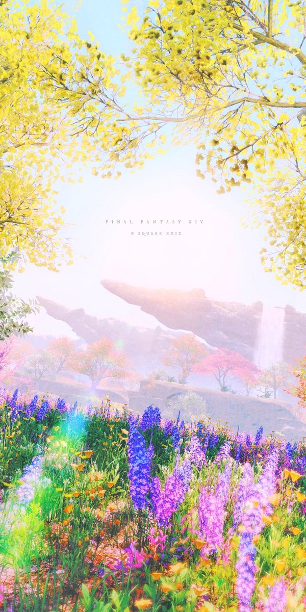 -Kozama'uka-

#FF14風景
#FF14SS