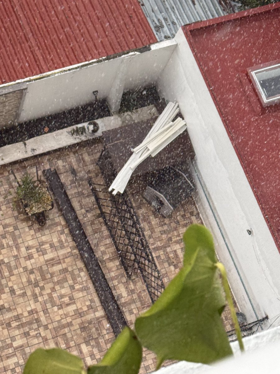 JSwarovski's tweet photo. El perrito se la pasa una buena cantidad de tiempo en el espacio enrejado que se ve, así haga sol, caloric frío o lluvia como se ve en las fotos. https://t.co/fe3z8aVDxz
