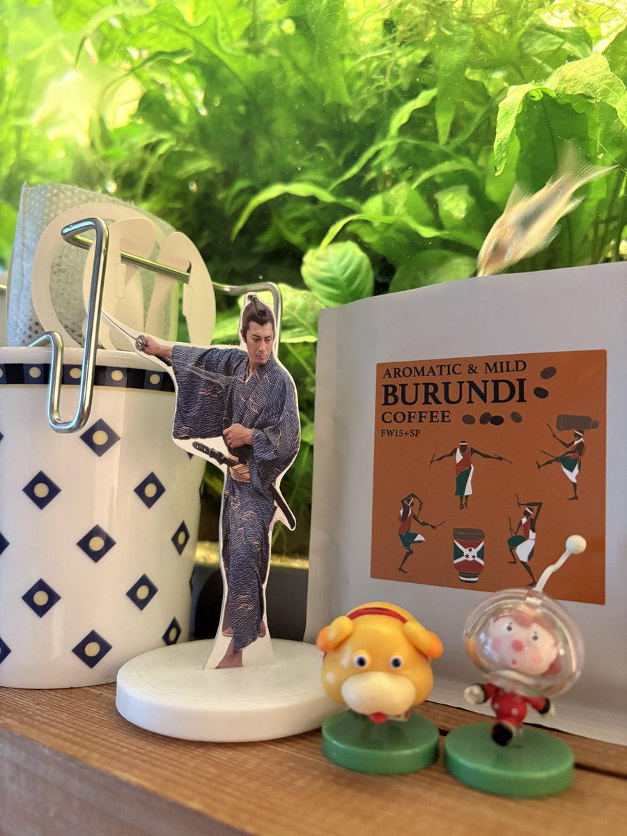 イノカワコーヒー ブルンジ カヤンザ ブルボン 250g 3個　関西万博 イノカワコーヒー ブルンジ カヤンザ ブルボン 250g 3個 関西万博 JAL on X