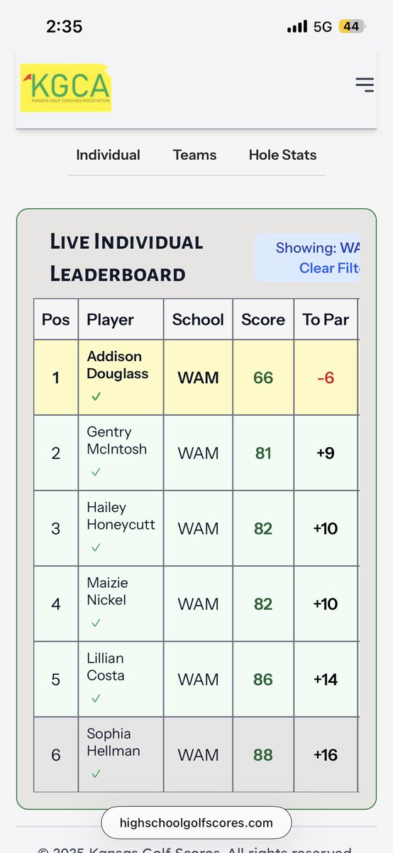 WamegoGolf tweet media