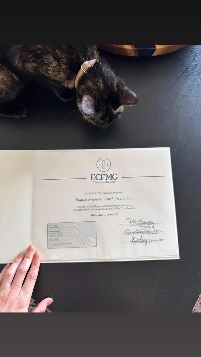 Raquel Nogueira tweet media