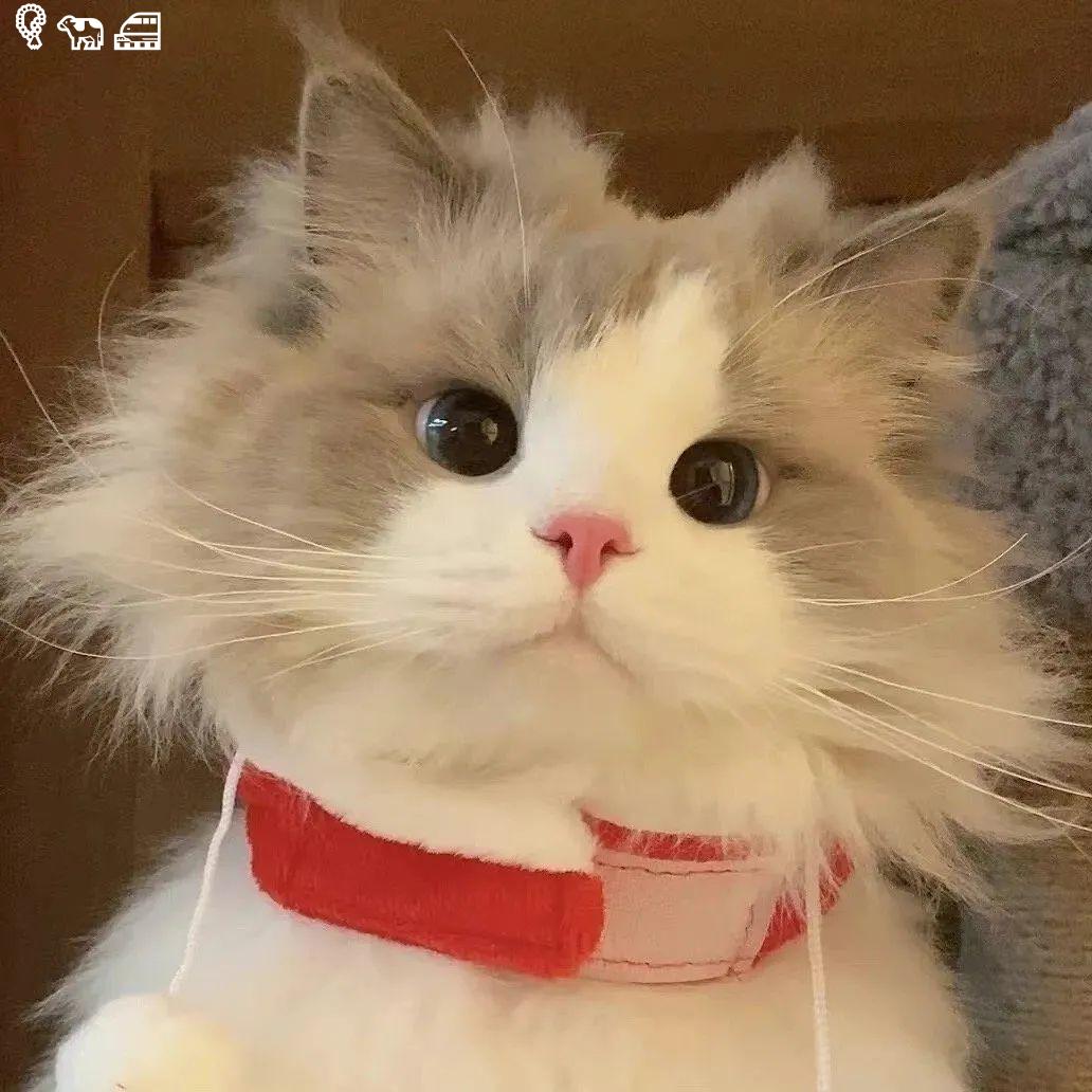 home street cry warm fast weak dark think phone love moment energy😽📱🧍🦳5219