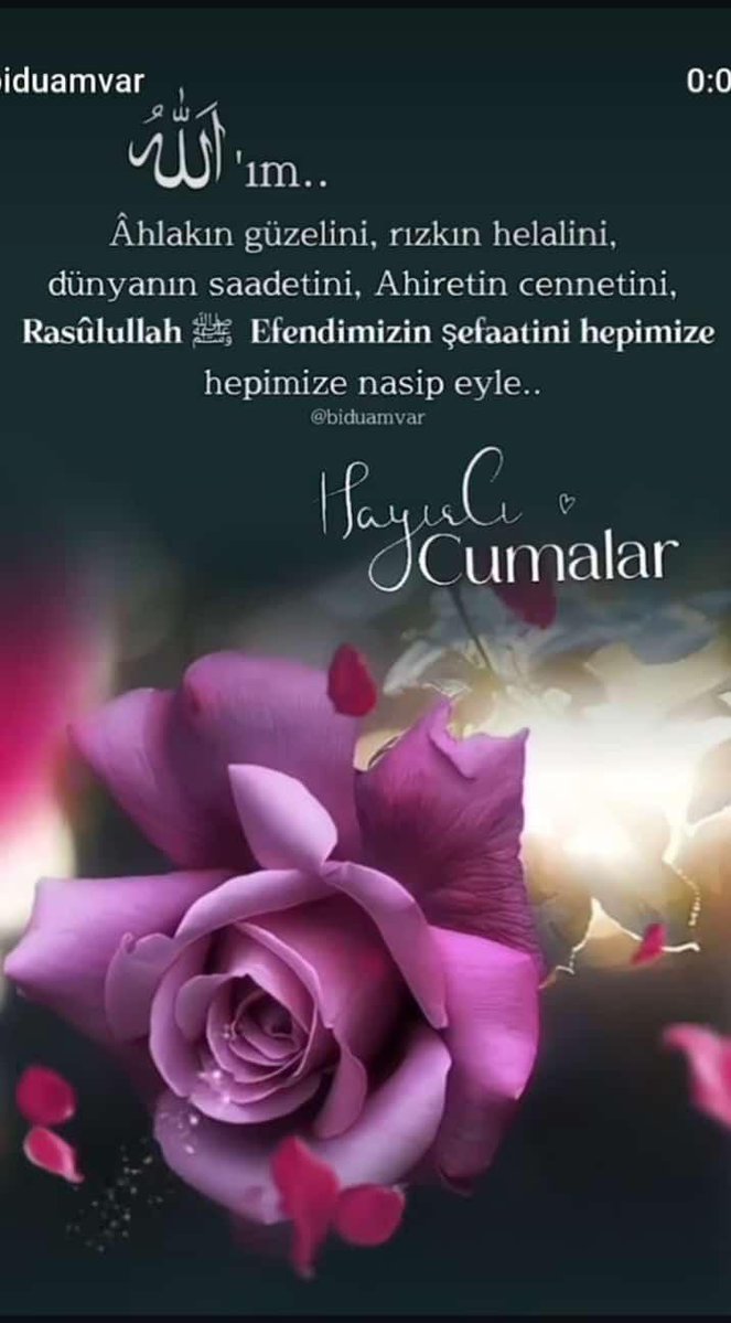 Selamun aleykum arkadaşlar sabah'ul hayır Allah yardımcınız, cumanız mübarek olsun #duaile

#AllahuEkber☝️
#Amin
Peygamber efendimiz (a.s)'yolundan!
Hadisler İslâm Fıkkının temel taşıdır.
İslâm düşmanları, İslâm'ı yıkmak en fazla hadislere saldırmayı temel prensip edinmişlerdir.