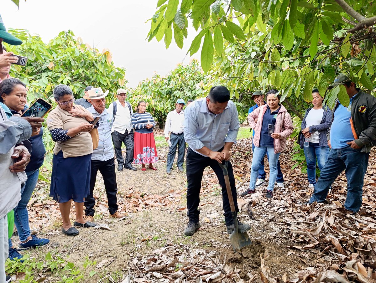AgriculturaEc's tweet photo. #Guayas| El proyecto #DESATAR del #MAGP desarrolló una capacitación en muestreo de suelos y aguas, fortaleciendo los conocimientos técnicos de productores para impulsar una agricultura más eficiente y sostenible. 🌱👩🏻‍🌾👨🏾‍🌾

 💚 #ElNuevoEcuadorImpulsa el trabajo de productores con herramientas y conocimientos que transforman el campo y fortalecen el futuro del agro ecuatoriano.