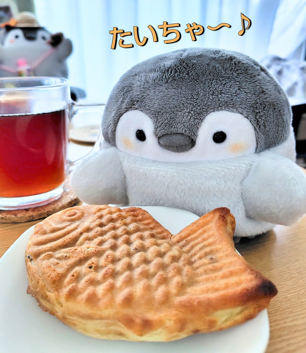 くったりはあんこ好き説が浮上してるので
カリカリに焼いた たい焼きを与えてみた🐟️
被験者は嬉しそうです💮
#コウペンちゃん   #くったりすと