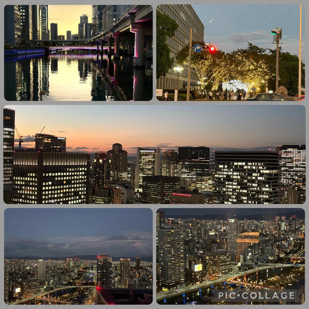 uminanoni_numa's tweet photo. 友達が連れて行ってくれた
淀屋橋の夜景の綺麗なビル
持つべきものは地元に強い友達
感謝🫡
#stationone https://t.co/MrNMY69sfm