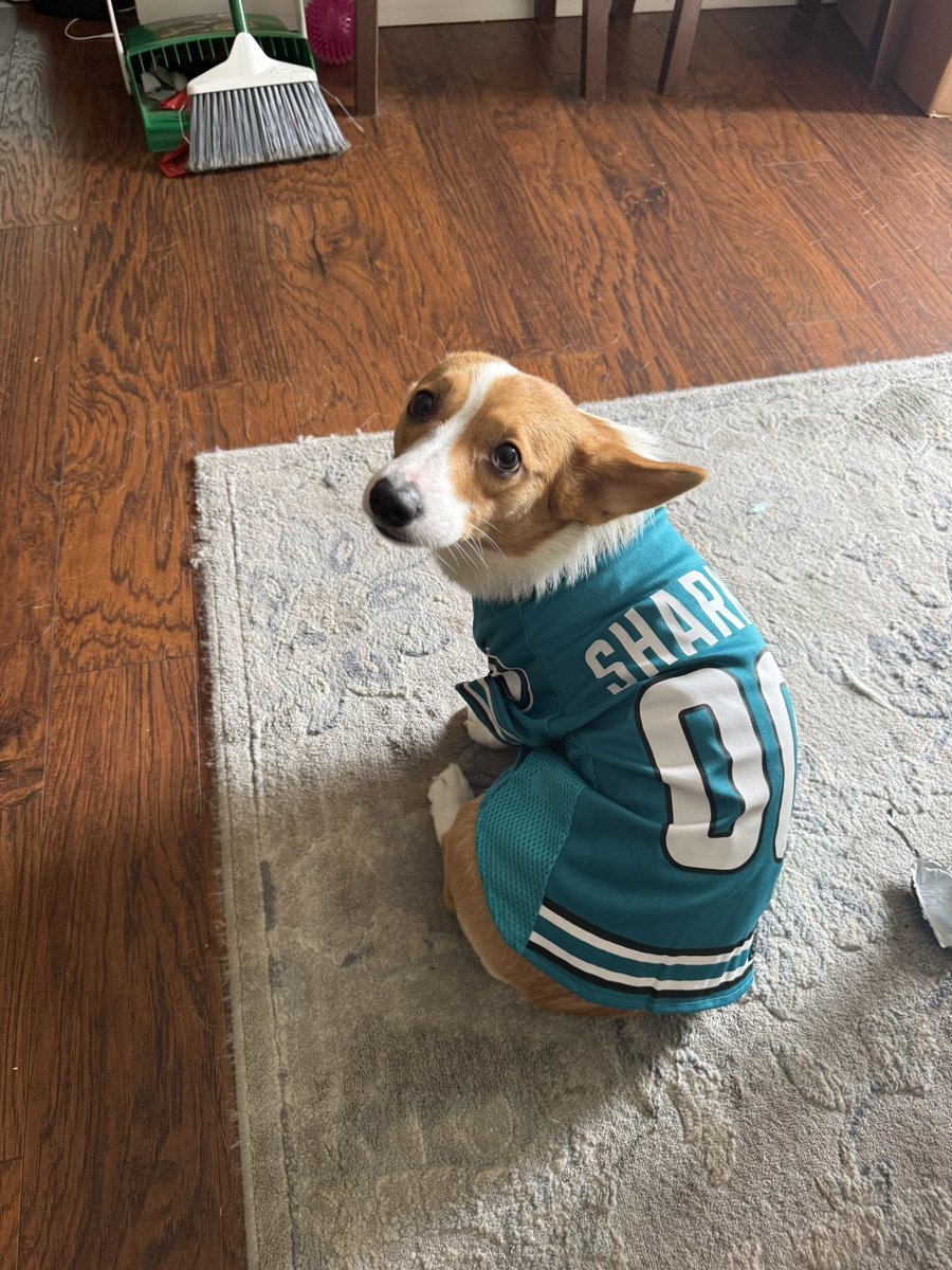 new drip #TheFutureIsTeal #SharksTerritory