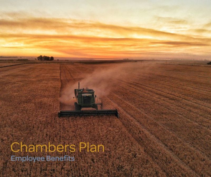 Working sunrise to sunset, and potentially a long distance away from town, it can tough to make time to see the doctor. Teladoc telemedicine gives you 24/7 access to a doctor and it's included in Chambers Plan at no extra cost. 

Learn more: chamberplan.ca/product/group-…

#ChambersPlan