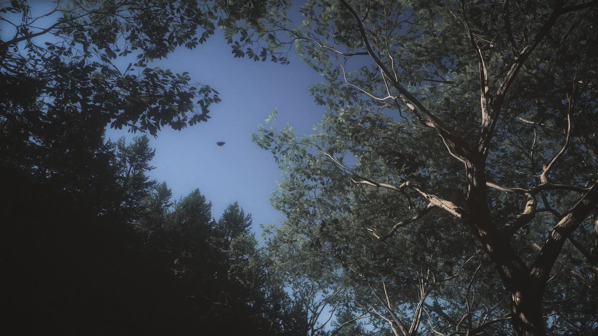 m1rko_vp's tweet photo. Ghost of Yotei

#GhostofYotei

#VirtualPhotography #VGPUnite #VPRT #VPGamers #ArtisticofSociety https://t.co/GlfMu2nE7q